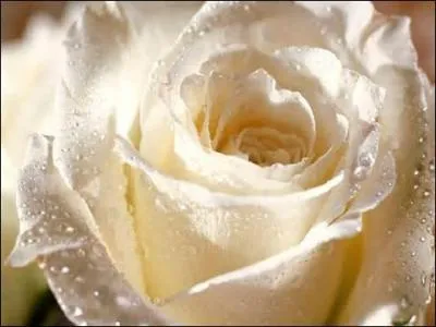 Comment s'appelle cette couleur ?