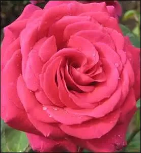 Comment s'appelle cette couleur ?