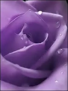 Comment s'appelle cette couleur ?