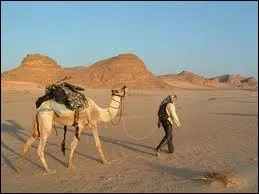 Géographie : Dans quel pays se situe le désert du Sinaï ?