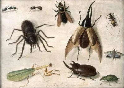 Qui a peint "Insectes" ?