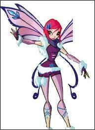 Quelle est sa transformation ?