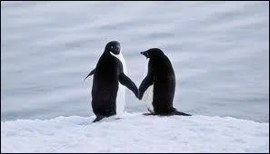 Dans la Grèce antique, l'amour est défini par quatre termes. Lequel de ces mots n'en fait pas partie ?