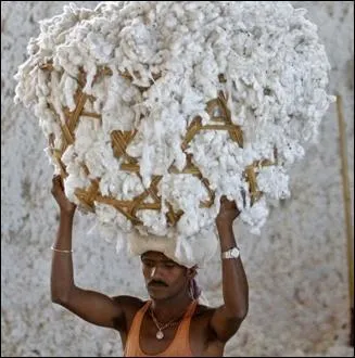 Cotton Club > 1 kg de coton p&egrave;se...combien de litres d'eau (pour sa production) ?