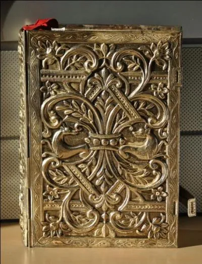 Comment sont appelés ces livres ?