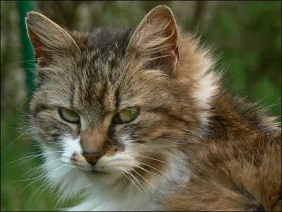 Quelle partie de mon corps se sert sur une assiette ?