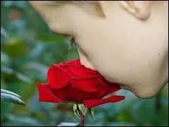 L'inhalation se traduit-elle par l'humage ?