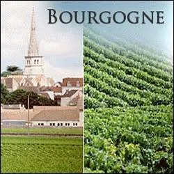 La Bourgogne est majoritairement spécialisée en :