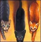 Lequel de ces trois-là a assassiné Pelage de Granit ?