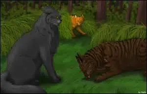 Parmi ses chats, lesquels sont morts assassinés ?