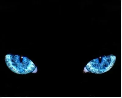 Et lesquels sont morts de maladie ?