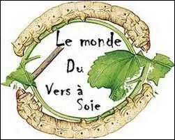 C'est Pasteur qui sauva les élevages des vers à soie du sud de la France ravagés, au 19 e siècle, par une maladie appelée la "pébrine".