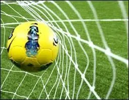 L'un des sports les plus populaires en France est le football. Ce dernier se joue en équipes de onze joueurs sur un stade. Parmi ces hommes, lequel exerce son génie dans un sport autre que le football ?