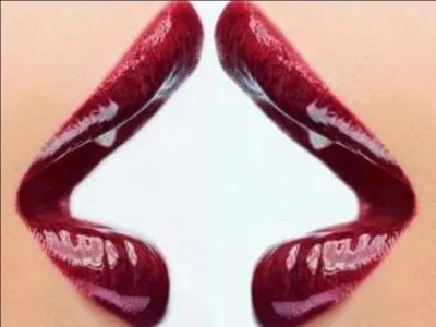 "Les regards échangés sont si ouvertement lubriques, qu'il va nous falloir faire très attention". Qu'indique "lubrique" ?