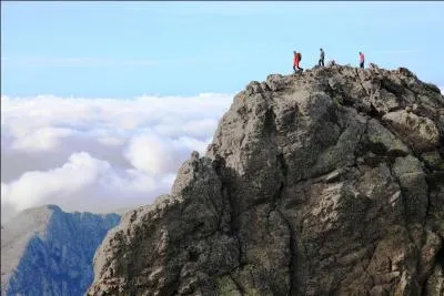 "Après avoir atteint son acmé à la fin de mai, la peste déclinera en juin et disparaîtra en juillet". Qu'évoque le terme "acmé" ?