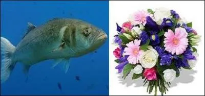 Quel est le nom de cette commune de Basse-Normandie ?