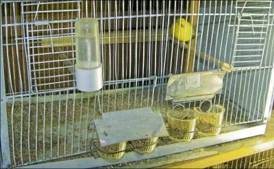 Seriner sans arrêt que cette question est digne d'un tueur à gages serait sabrer la réponse !