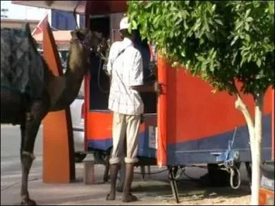 La réponse peut sembler un peu chameau, toutefois la cabine téléphonique devrait vous aider, sinon téléphonez à "Planète Assistance" !