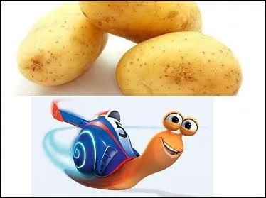 La chair de celle-ci est jaune et farineuse. Quel est son nom ?