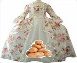 Cette pomme de terre est le résultat de la BF15 et de la Roseval. Quel est son nom ?