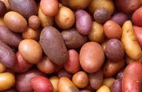 Quiz Legumes