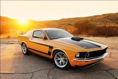 Une voiture se nomme aussi "mustang" ?