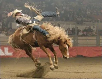 Cette image montre un sport, lequel ?