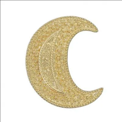 Champignon amanite :