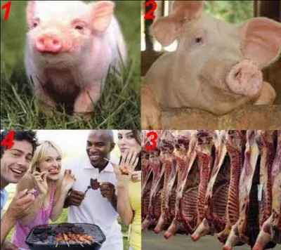 Quelle est la bonne réponse ?