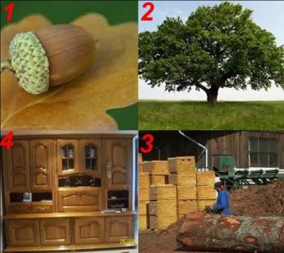 Quelle est la bonne réponse ?