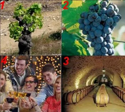 Quelle est la bonne réponse ?