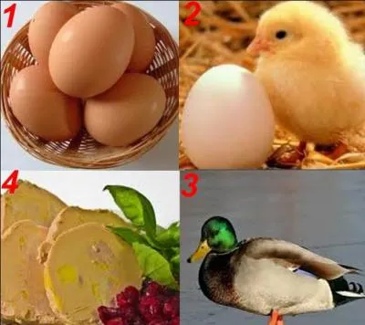 Quelle est la bonne réponse ?