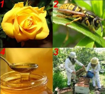 Quelle est la bonne réponse ?