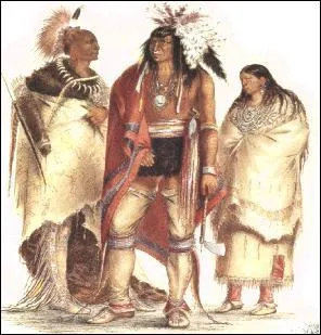 Le 3 mai 1536 Cartier retourne en France avec à son bord un rival du grand chef Donnacona : Agona. Au fait combien d'Iroquois et d'enfants ramènent-ils dans ses bagages ?