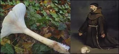 Il sent le foin, sa chair est blanche et ferme, et quand il est jeune il ressemble plus ou moins à une quille drôlement coiffée. Comment le nomme-t-on ?