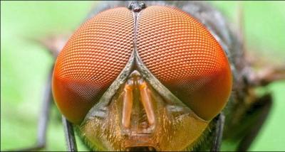 Il existe une expression à son sujet, elle signifie que l'on se vexe !