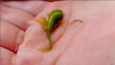 Je te demande d'avoir l'oeil et de faire un saut jusqu'&agrave; la r&eacute;ponse !