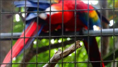 Je ne voudrais pas avoir à me répéter sans arrêt, trouve le nom du bavard !