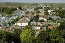 La commune picto-charentaise de Mortagne-sur-Gironde se situe dans le département ...
