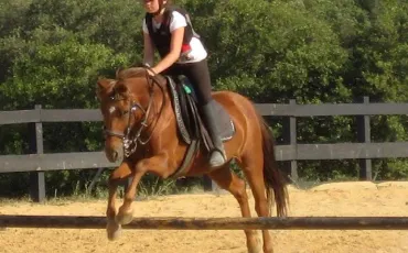 Quiz Galop 1