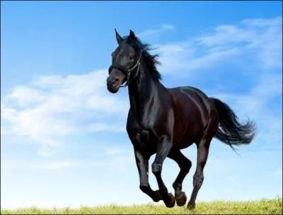 Quelle est cette robe ?