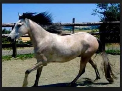 Quelle est cette robe ?