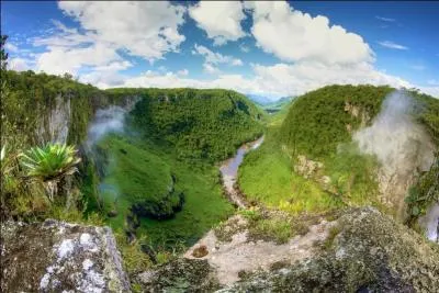 Ensuite on traversera quelle forêt ?
