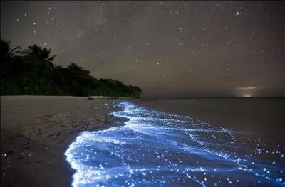 On poursuit vers les Maldives avec du plancton bioluminescent qui donne à cette plage cette lumière bleue que vous voyez sur la photo. Si vous voulez passer la nuit là-bas, où se donne-t-on rendez-vous ?