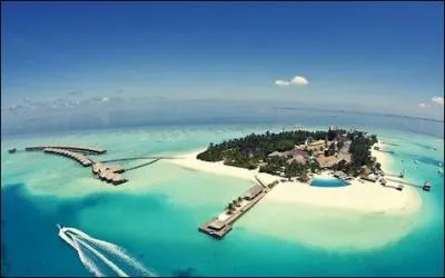 Que découvre-t-on en restant aux Maldives ?