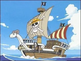 Quel est le nom du bateau que Luffy et ses compagnons ont reçu dans le tome 5 ?