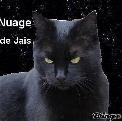 Qui aime Nuage de Jais ?