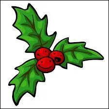 A quoi va vous servir celle-ci ?