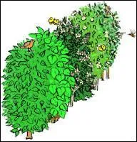 A quoi sert cette interjection ?