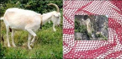 Ici, je respecte totalement l'étymologie pour le premier mot ; il compose le nom de cette commune et est très productif y compris dans ses dérivés. Pour le second j'adapte afin de faciliter le jeu !